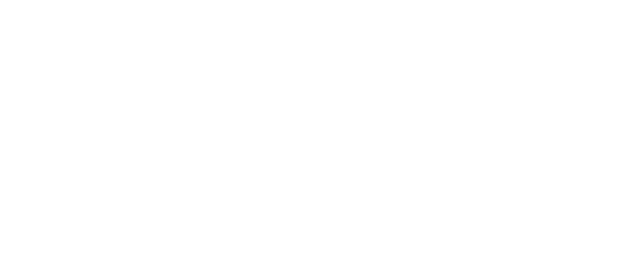 BlueRey Group